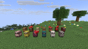 Thirteen woods
