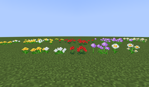 Flower Patches