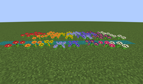Pansies