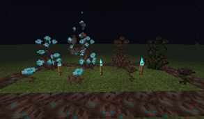 Soul Roses & Wither roses