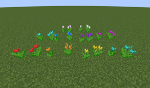 Tulips