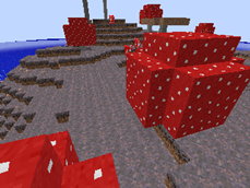 Rot
