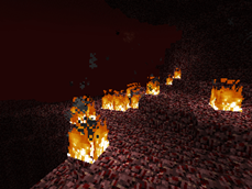 Nether