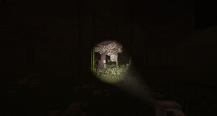 7.png