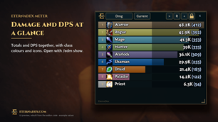 Damage and DPS together, with class colours and icons. UI preview.
