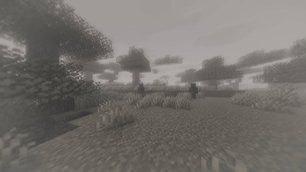 shadows_day2-shaders.jpg