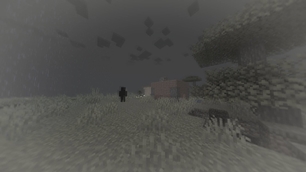 shadows_day-plain.jpg
