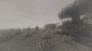shadows_day-shaders.jpg