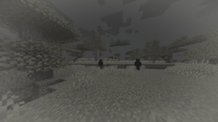 shadows_day2-plain.jpg