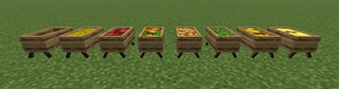 Feeding troughs with and without food