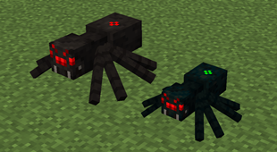 Spiders