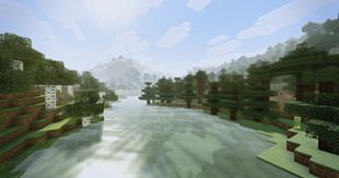 Forest and river