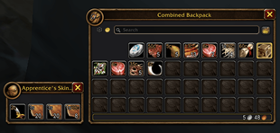 Item Values on Bag Slots