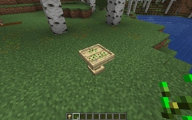 Add your wheat seeds...