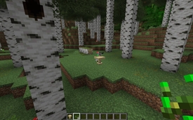 Stand back and watch the birds from 'Must Have Taller Trees' mod come and feed! Ahhh!