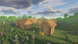 EIQFEP_01_village.png