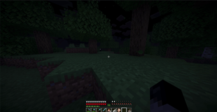 forest2.png