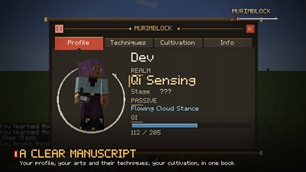 10_interface.jpg