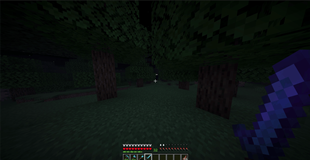 forest.png