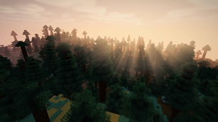 04_light_through_the_forest_4K.jpg