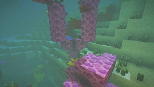 07_coral_reef_4K.jpg