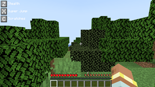 Overlay for Plr if is Cat