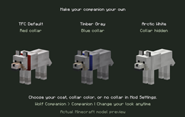 Make your companion your own