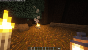 1st Person View