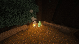 3rd Person View