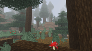 image-attachment_be78e9fc-15cb-43b7-bedb-5708db41ec5d.png