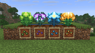 Seed and Flowers