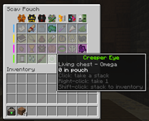 04_pouch_window.png