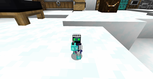server pic 1.png