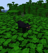 93648c43-b16c-4b5c-be17-4e99387005b8.gif