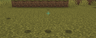 Items about to despawn