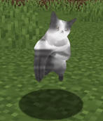 image (1).png