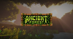 Ancient Forest