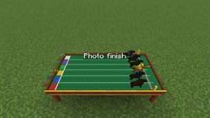 0018_rennen_zielfoto.png