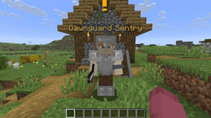 Your NPC
