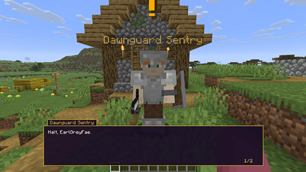 NPC Dialogue