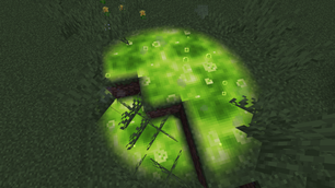 image-attachment_4f437561-debb-49bd-8bc0-8b22b8dc3afb.png