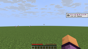 10-vanilla-server-warning.png