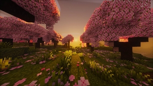 sunrise.jpg