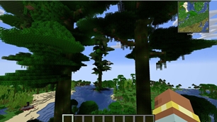 01_giant_jungle_trees.jpg