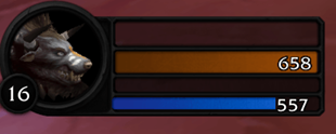 Druid mana
