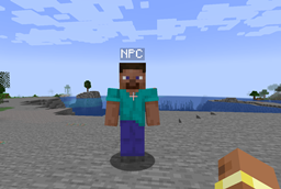 NPC configurables