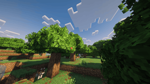 Oak