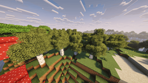 Birch