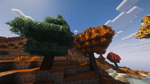 Spruce and Poplar