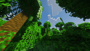 Jungle